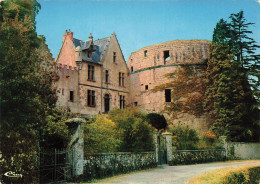 85 MORTAGNE SUR SEVRE LE CHÂTEAU - Mortagne Sur Sevre