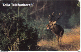 SWEDEN(chip) - Reindeer, 07/96, Used - Andere & Zonder Classificatie