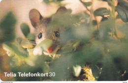 SWEDEN(chip) - Squirrel, 02/97, Used - Sonstige & Ohne Zuordnung