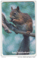 SWEDEN(chip) - Squirrel, 10/95, Used - Sonstige & Ohne Zuordnung