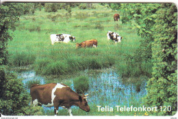 SWEDEN(chip) - Cows, 06/96, Used - Kühe