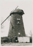 Brecht Stenen Molen In Verval Foto A. Carre 1980 - Brecht