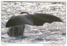 SWEDEN(chip) - Whale, 12/97, Used - Sonstige & Ohne Zuordnung