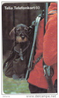 SWEDEN(chip) - Dog, 05/97, Used - Perros
