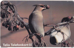 SWEDEN(chip) - Birds, 07/96, Used - Otros & Sin Clasificación