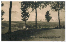 CPA MONTIGNY-LE-TILLEUL   Vue De Bomerée - Montigny-le-Tilleul