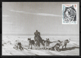 99 -Y&T PO 265  Chiens De Traîneaux Sur Carte MAXI FDC Du 1.1.200 Terre Adélie - Halte Sur L' Inlandsis En T.A. - Briefe U. Dokumente