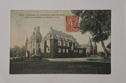 Château De Courcelles Le Roy - Chatillon Sur Loire