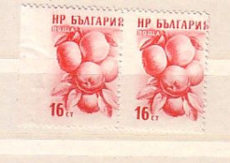 1957  Fruits - Apples   ERROR  Right Imperforated - MNH  BULGARIA / Bulgarie - Variedades Y Curiosidades