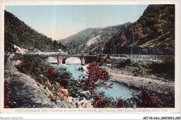 AETP6-USA-0476 - CUMBERLAND - MD - Picturesque Baltimore And Ohio Railroad - National Bridge - Baltimore