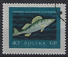 Poland 1958  Edle Fische (o) Mi.1051 - Usados