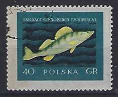 Poland 1958  Edle Fische (o) Mi.1051 - Usati