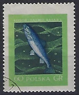 Poland 1958  Edle Fische (o) Mi.1052 - Usados