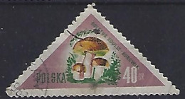 Poland 1959  Pilze (o) Mi.1095 - Used Stamps
