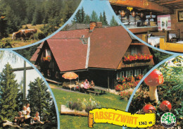 Steiermark. STAINZ. Gasthof Absetzwirt Am Rosenkogl, Um 1975 - Stainz