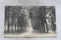 O251, Cpa 1919, Vauvillers, Les Promenades, Haute Saône 70 - Vauvillers