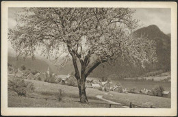Austria-----Grundlsee-----old Postcard - Liezen