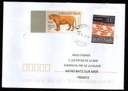 CROATIE HRVATSKA Enveloppe Cover Lettre 2016 Patrimoine Croate Ethnographique Slavonija Panthera Leo Fossilis - Storia Postale