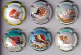 SERIE COMPLETA DE 6 PLACAS DE CAVA TERRAFERMA DE CARACOLAS (CAPSULE) SEA SHELL - Spumanti