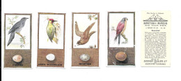 AZ60 - SERIE COMPLETE 50 CARTES CIGARETTES GODFREY PHILLIPS - BRITISH BIRDS - Phillips / BDV