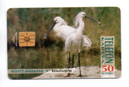 Oiseau Bird Vogel Télécarte Hongrie Phonecard  ( T 241) - Ungheria