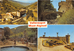 30-VALLERAUGUE-MONT AIGOUAL-N°T204-D/0005 - Valleraugue