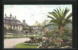 AK Dresden-Pillnitz, Königlicher Schlossgarten Mit Wasserpalais - Pillnitz