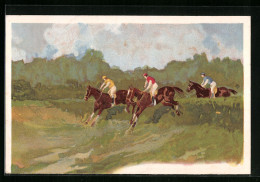 AK Reiter Springen über Eine Hecke  - Paardensport