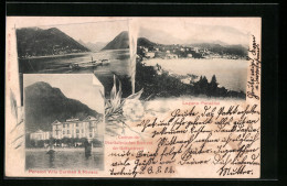 AK Lugano-Paradiso, Pension Villa Carmen & Riviera, Dampfer, Panorama  - Riviera