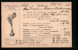 Vorläufer-AK Korrespondenzkarte, Josef W. Lumpé, Reklame Für Safran, Ganzsache, 1894  - Postcards