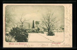 AK Elmshorn, Denkmal Probstenfeld Im Winter  - Elmshorn