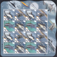 South Korea 2024 Protected Endangered Marine Species, Gray Whale, Pacific White-sided Dolphin, Baleine, Full Sheet - Ballenas