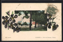 CPA Viarmes, Allee Des Platanes, L`Etang - Viarmes