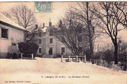 77 - Seine Et Marne -  LESIGNY - Le Buisson Sous La Neige  ( Face ) - Lesigny