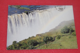 Zimbabwe Rhodesia 2001 + Nice Stamps - Zimbabwe