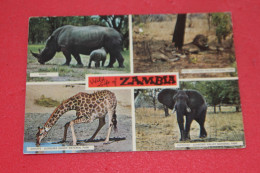 Zambia Animals 1971 Nice Stamps - Sambia