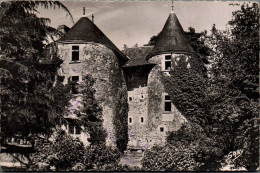 N°5075 W -cpsm Chantonnay -château Du Pally- - Chantonnay