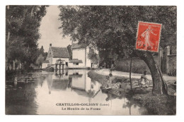 45 LOIRET - CHATILLON COLIGNY Le Moulin De La Fosse - Chatillon Coligny