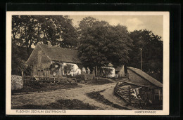 AK Flecken Zechlin /Ostprignitz, Dorfstrasse Mit Bäumen  - Zechlin