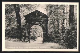 AK Waldenburg /Sa., Tor Zur Stillen Naturfreude Im Grünfelder Park  - Waldenburg (Sachsen)