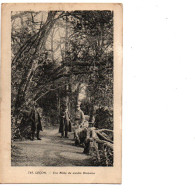 85 LUCON Une Allée Du Jardin Dumaine 1916 - Lucon