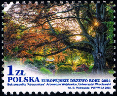 Poland 2024 Fi 5386 Mi 5536 European Tree Of The Year - Ungebraucht