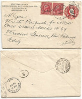 US PSE Washington C2 Private Print Uprated C2x2pcs In 3+3 Pair Amsterdam NY 8feb1931 X Italy With Text - 1921-40