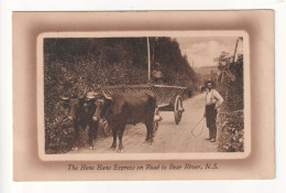 Nova Scotia - The Hew Haw Express On Road To Bear River, Bullock Cart - Old Canada Postcard - Otros & Sin Clasificación