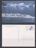 TAAF 1989 Max Douguet Postal Stationery N° 1 Unused (HC221) Promo - Enteros Postales