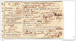 1800 VENDITA VINO - Italy