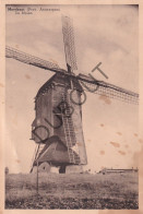 Postkaart - Carte Postale - Meerhout - De Molen  (C5977) - Meerhout