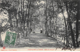 CHATILLON SUR LOIRE - Allée Des Soupirs - Très Bon état - Chatillon Sur Loire