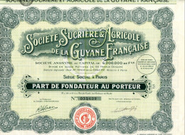 SUCRIÈRE & AGRICOLE De La GUYANE FRANCAISE; Part De Fondateur - Agriculture