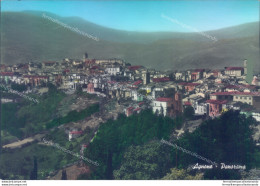 Ag557 Cartolina Agnone Panorama Provincia Di Campobasso - Campobasso